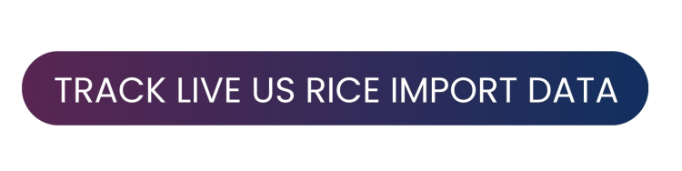 search live us rice import data 