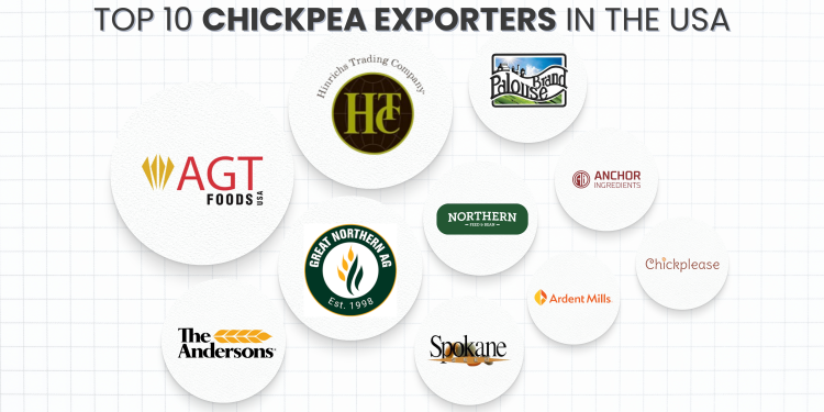 Top Chickpea Exporters in the USA