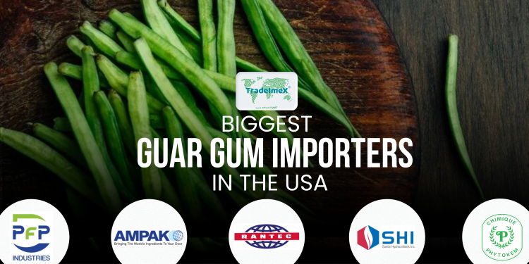 Biggest Guar Gum Importers in the USA