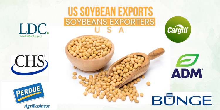 US Soybean Exports | List of Soybeans Exporters in the USA